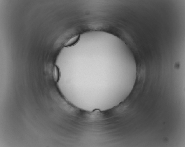 X0000112540670200909071423