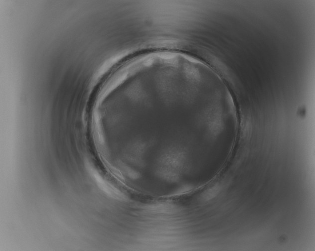 X0000112540674200909071422