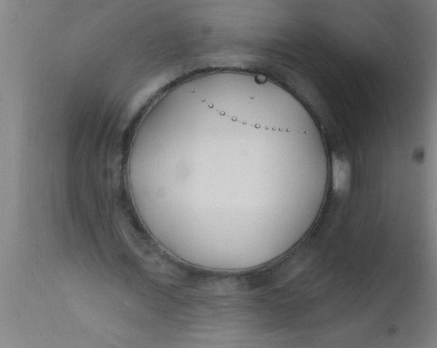 X0000112540675200909071422
