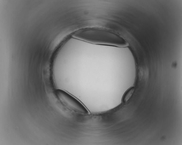 X0000112540676200909071422