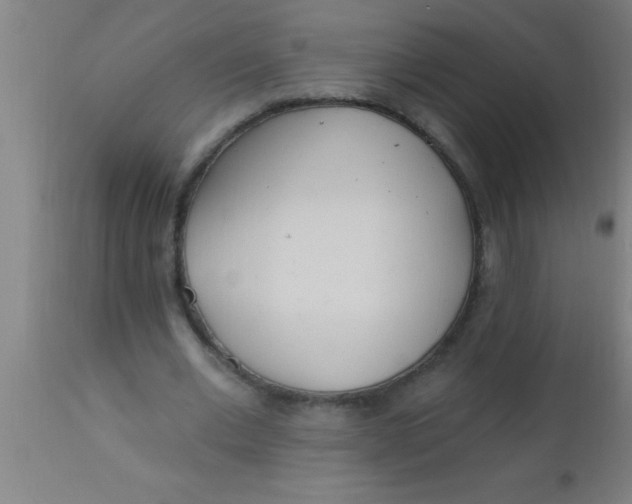X0000112540677200909071422
