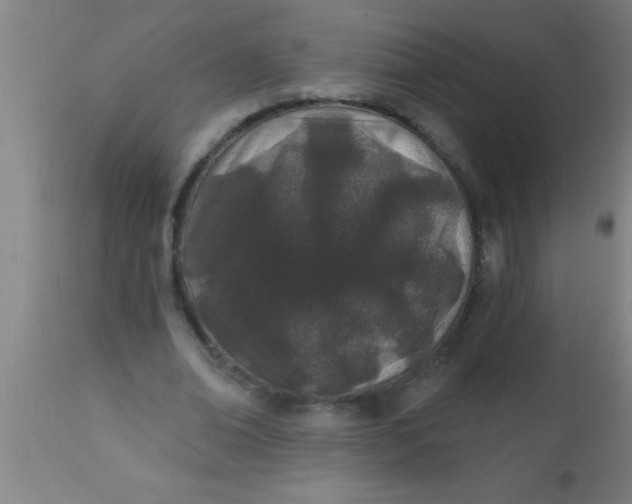X0000112540678200909071422
