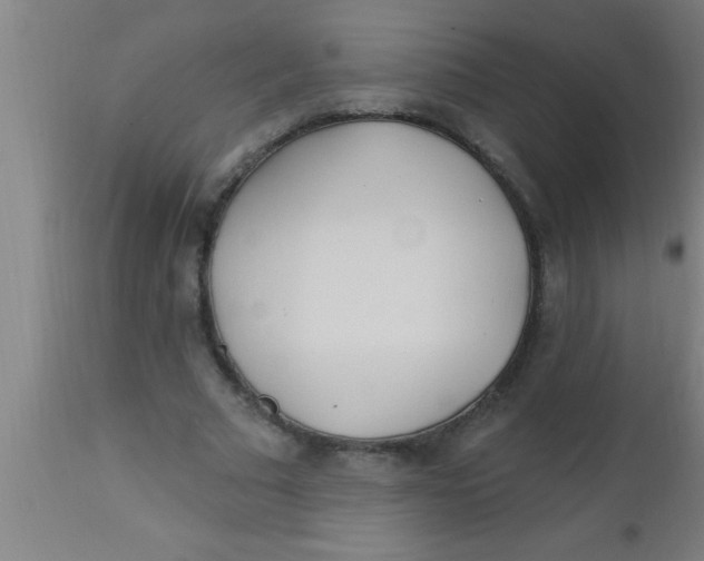 X0000112540681200909071422
