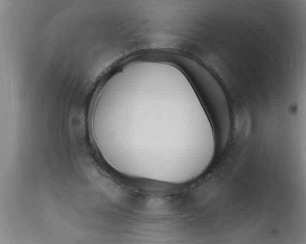 X0000112540684200909071422