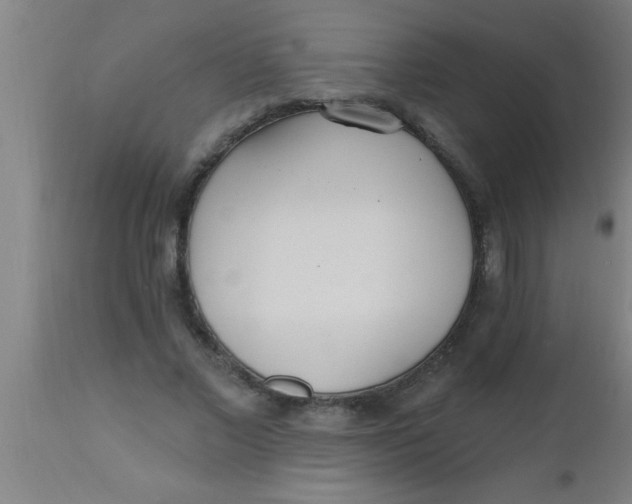 X0000112540685200909071422