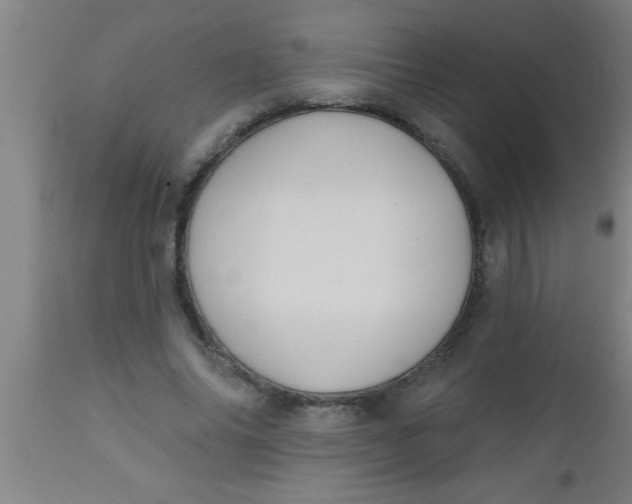 X0000112540686200909071422