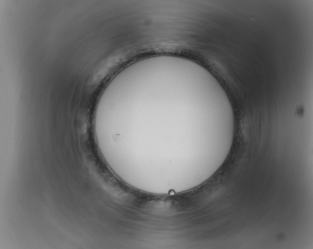 X0000112540687200909071422