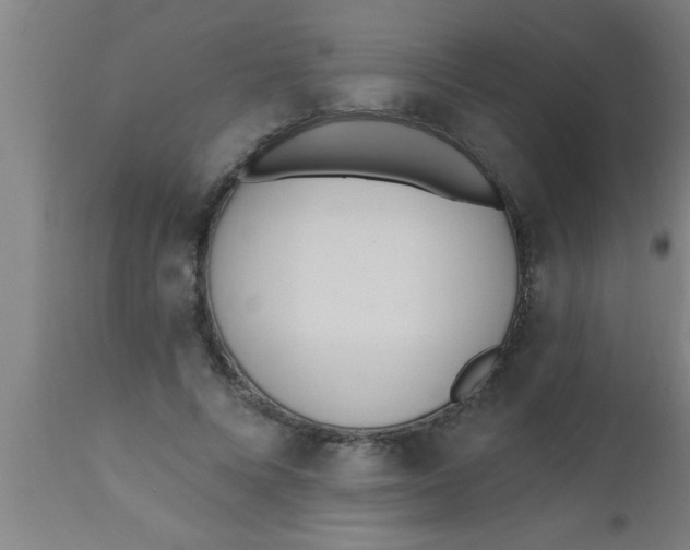 X0000112540688200909071422