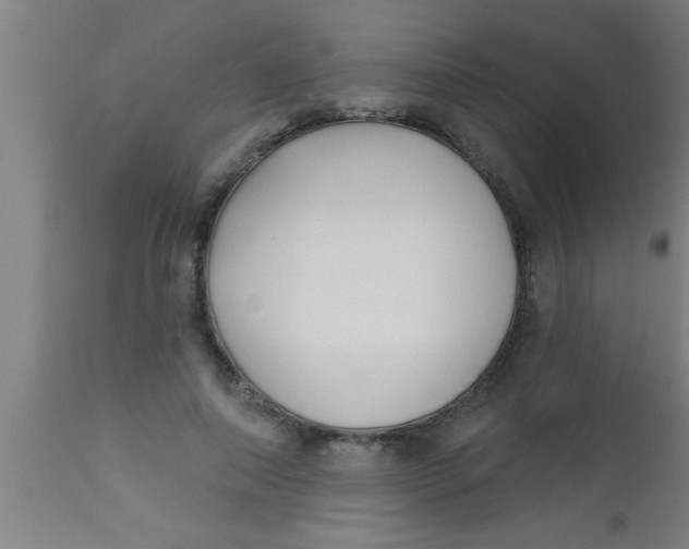 X0000112540690200909071422