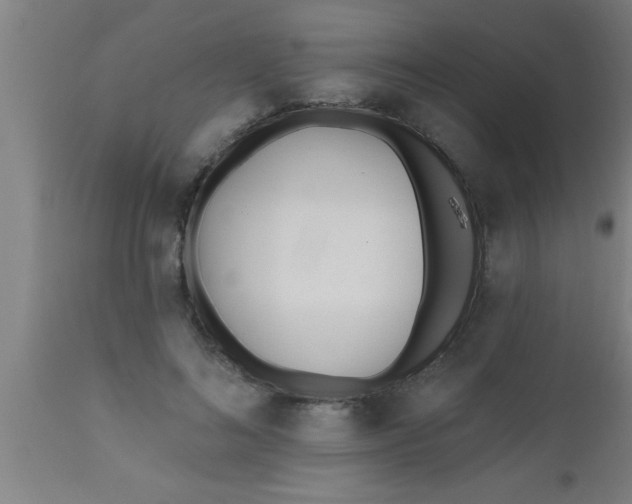 X0000112540692200909071422
