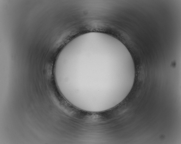 X0000112540695200909071422