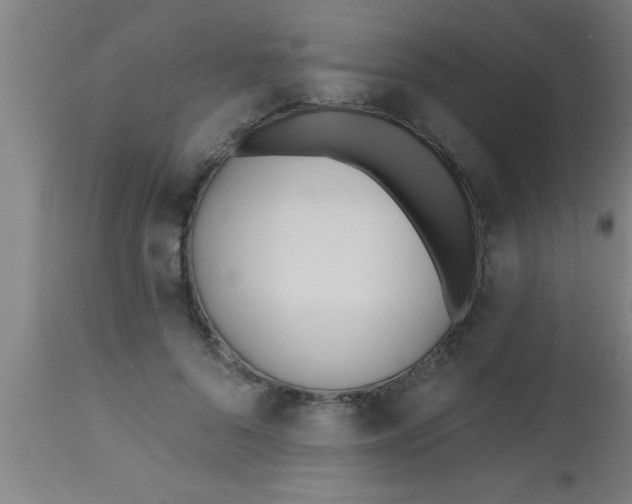 X0000112540696200909071422