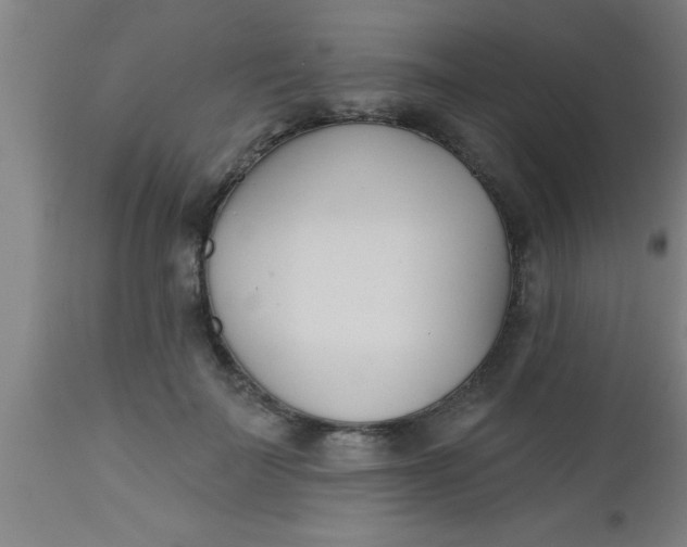 X0000112540699200909071422