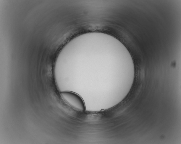 X0000112540700200909071422
