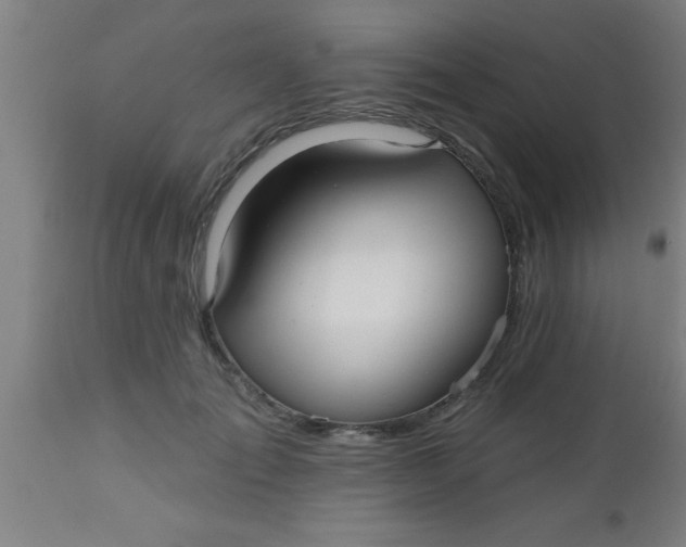 X0000112540701200909071422