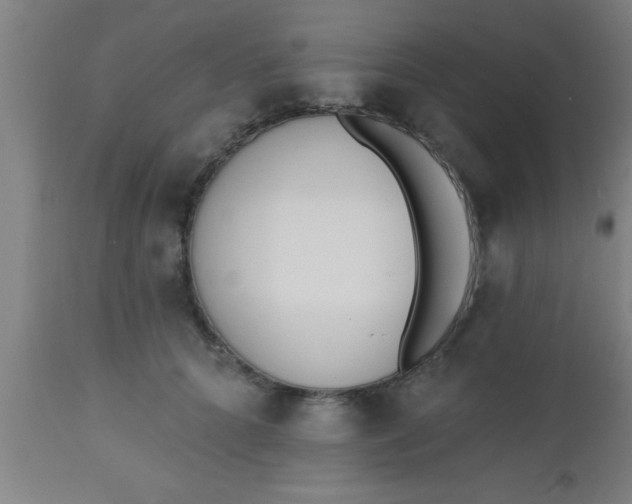 X0000112540704200909071422
