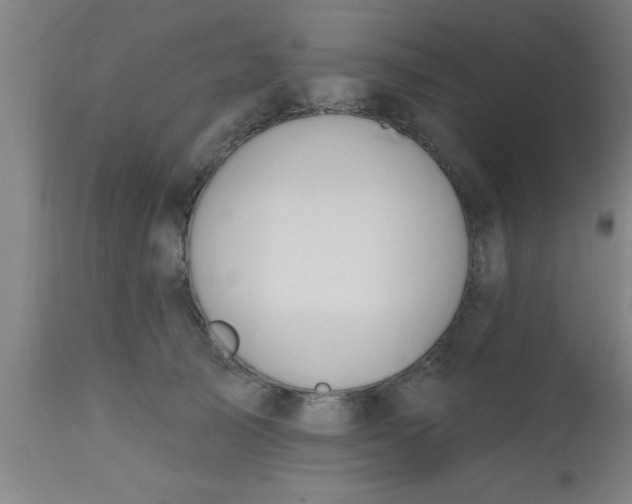 X0000112540705200909071422