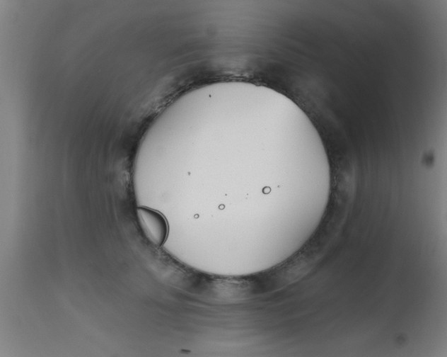 X0000112540707200909071421