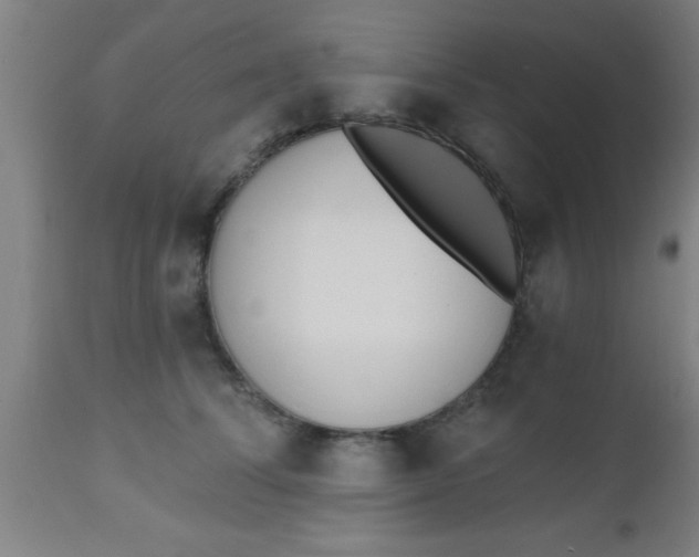 X0000112540708200909071421