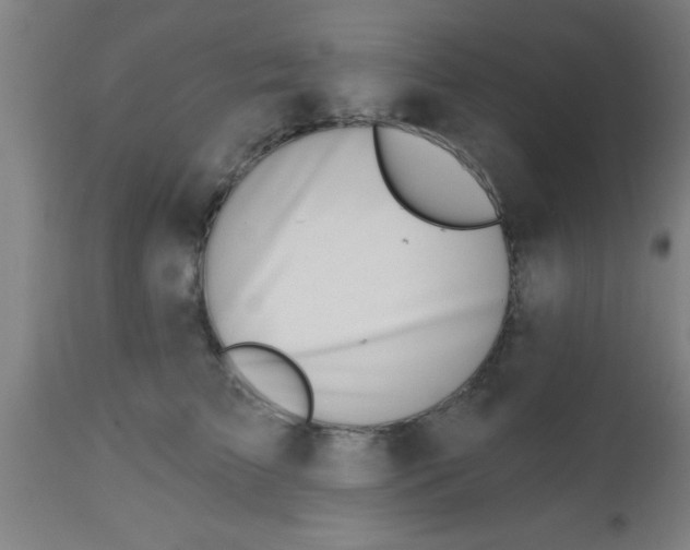 X0000112540709200909071421