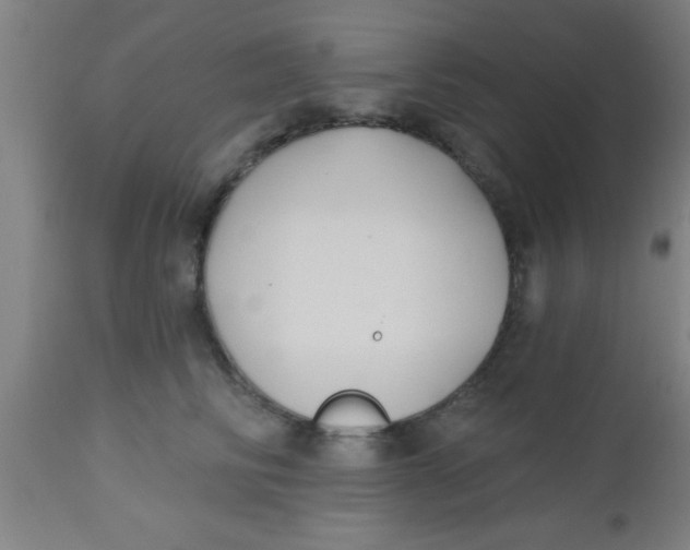 X0000112540710200909071421