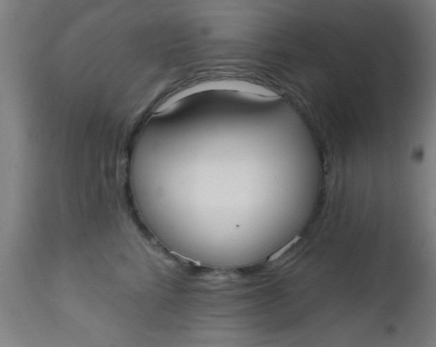 X0000112540712200909071421