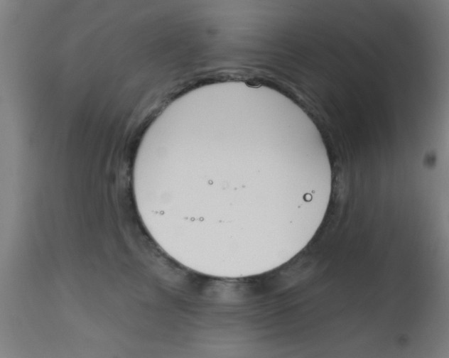 X0000112540713200909071421