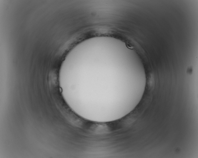 X0000112540715200909071421