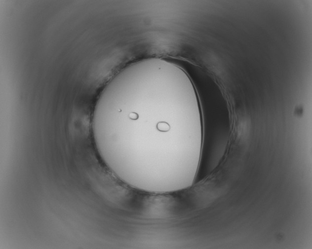 X0000112540716200909071421