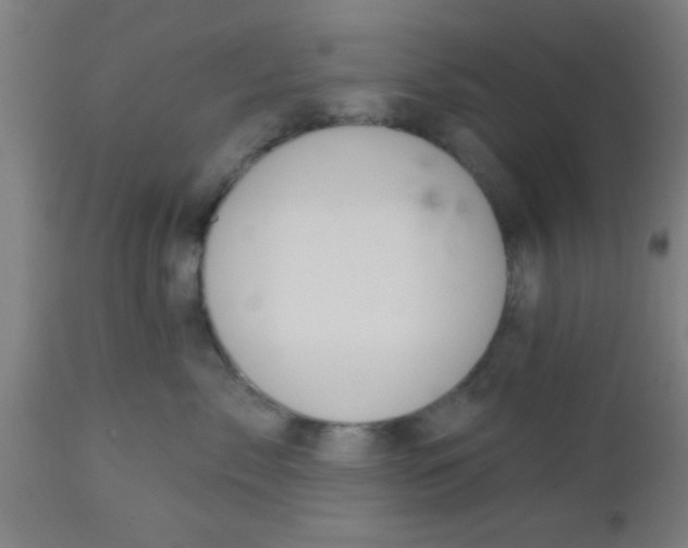 X0000112540717200909071421