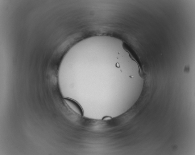 X0000112540719200909071421