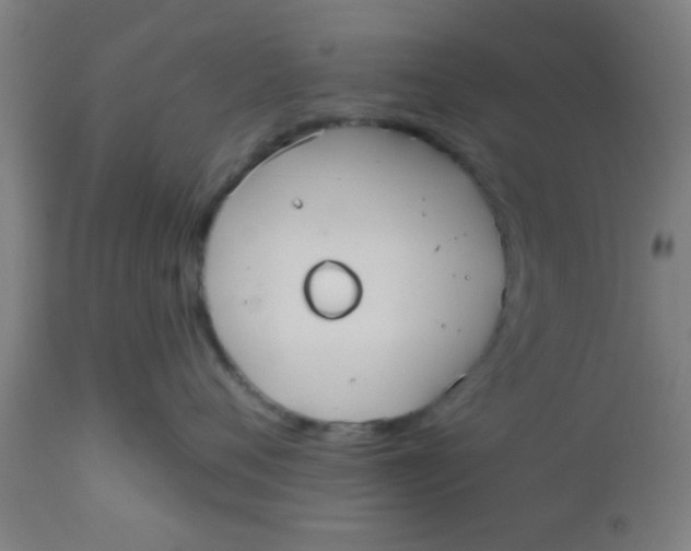 X0000112540720200909071421