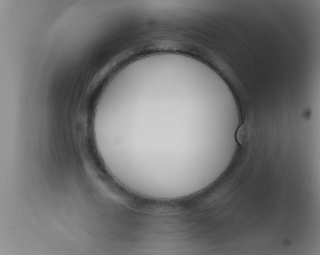 X0000112540722200909071421