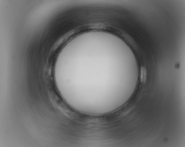 X0000112540723200909071421