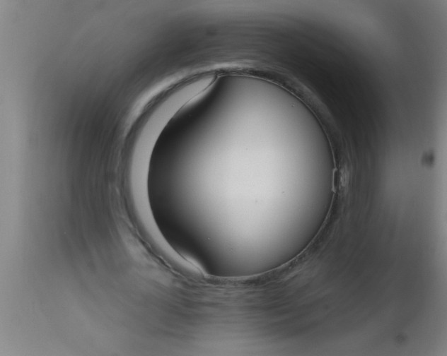 X0000112540724200909071421