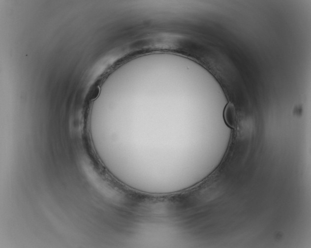 X0000112540726200909071421
