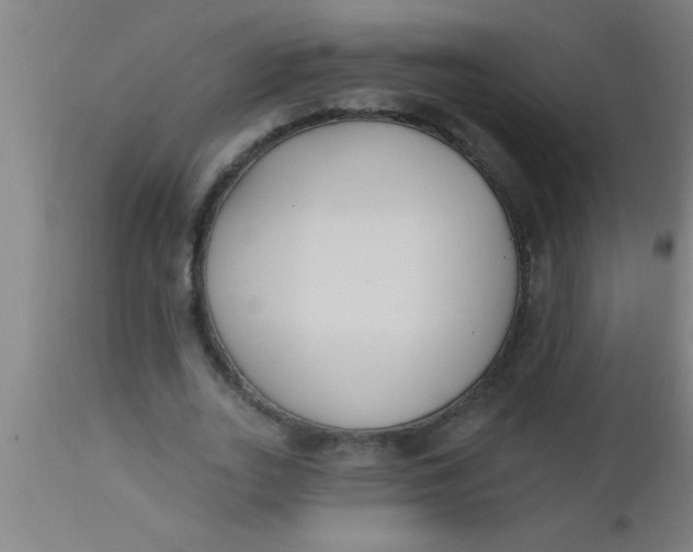 X0000112540727200909071421