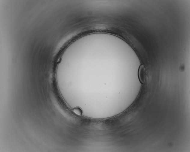 X0000112540728200909071421