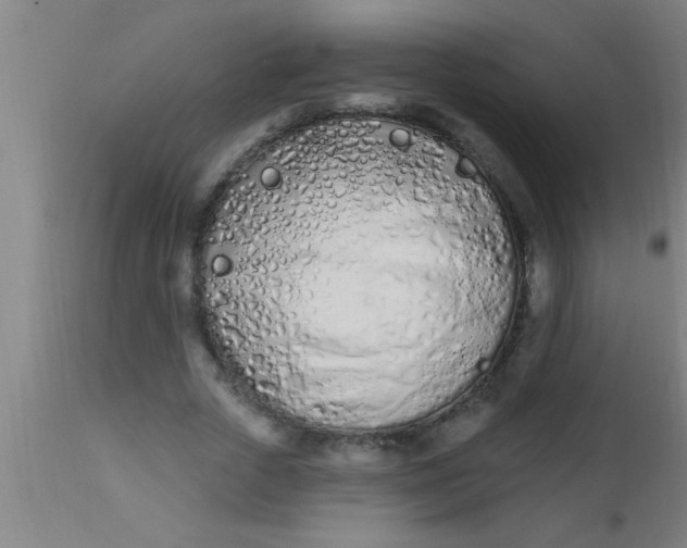 X0000112540729200909071421