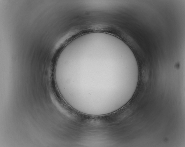 X0000112540730200909071421