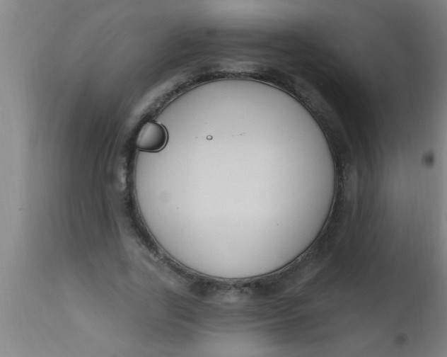 X0000112540731200909071421