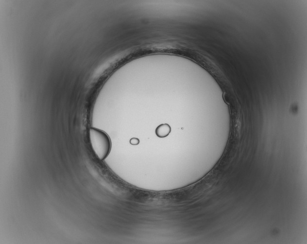 X0000112540732200909071421