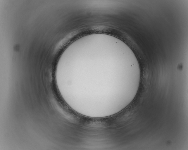 X0000112540734200909071421