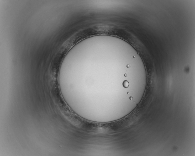 X0000112540737200909071421