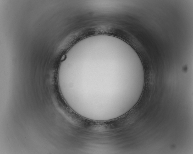 X0000112540738200909071421