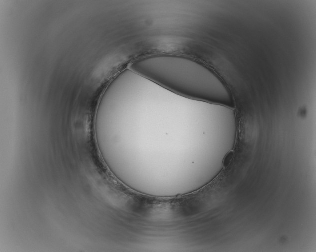 X0000112540740200909071421