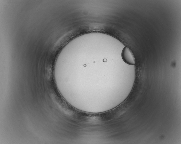 X0000112540741200909071421