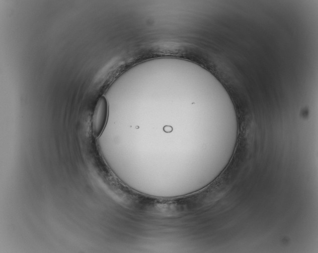X0000112540744200909071421