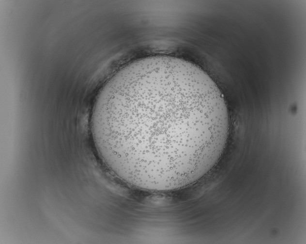 X0000112540745200909071421