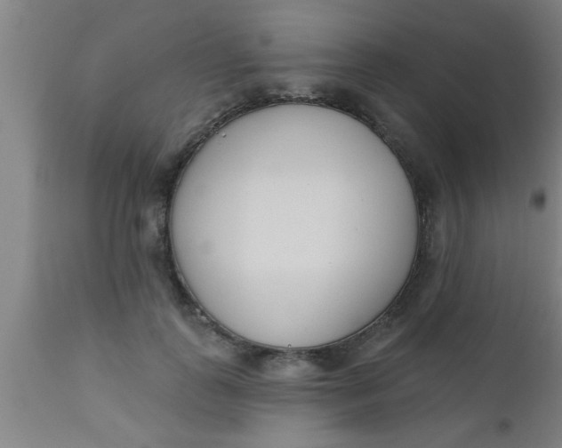 X0000112540747200909071421